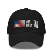 Am I The Only One Dad Hat